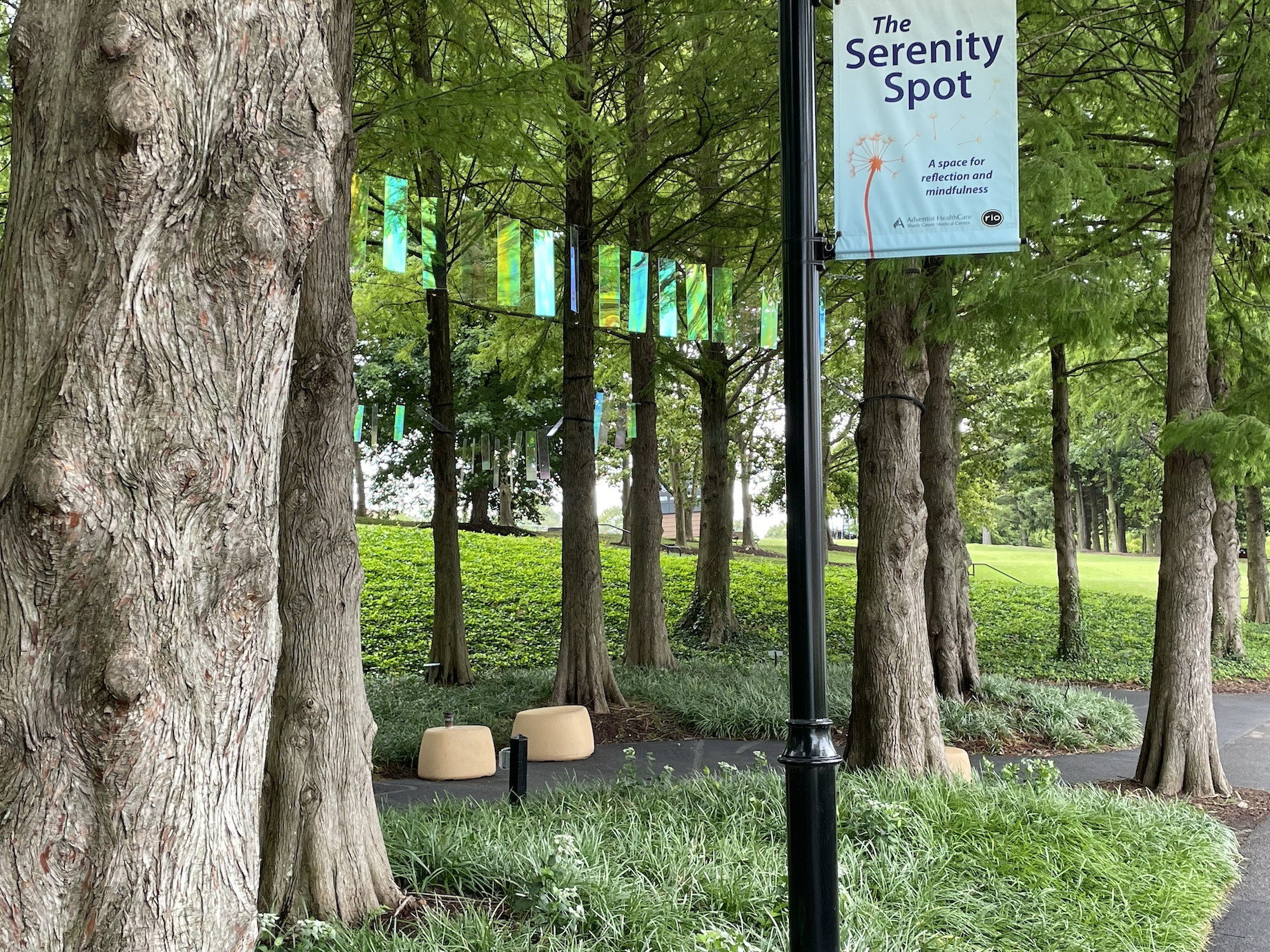 The Serenity Spot at Rio provides an experiential, calming place where visitors can take a moment to meditate or enjoy the sc